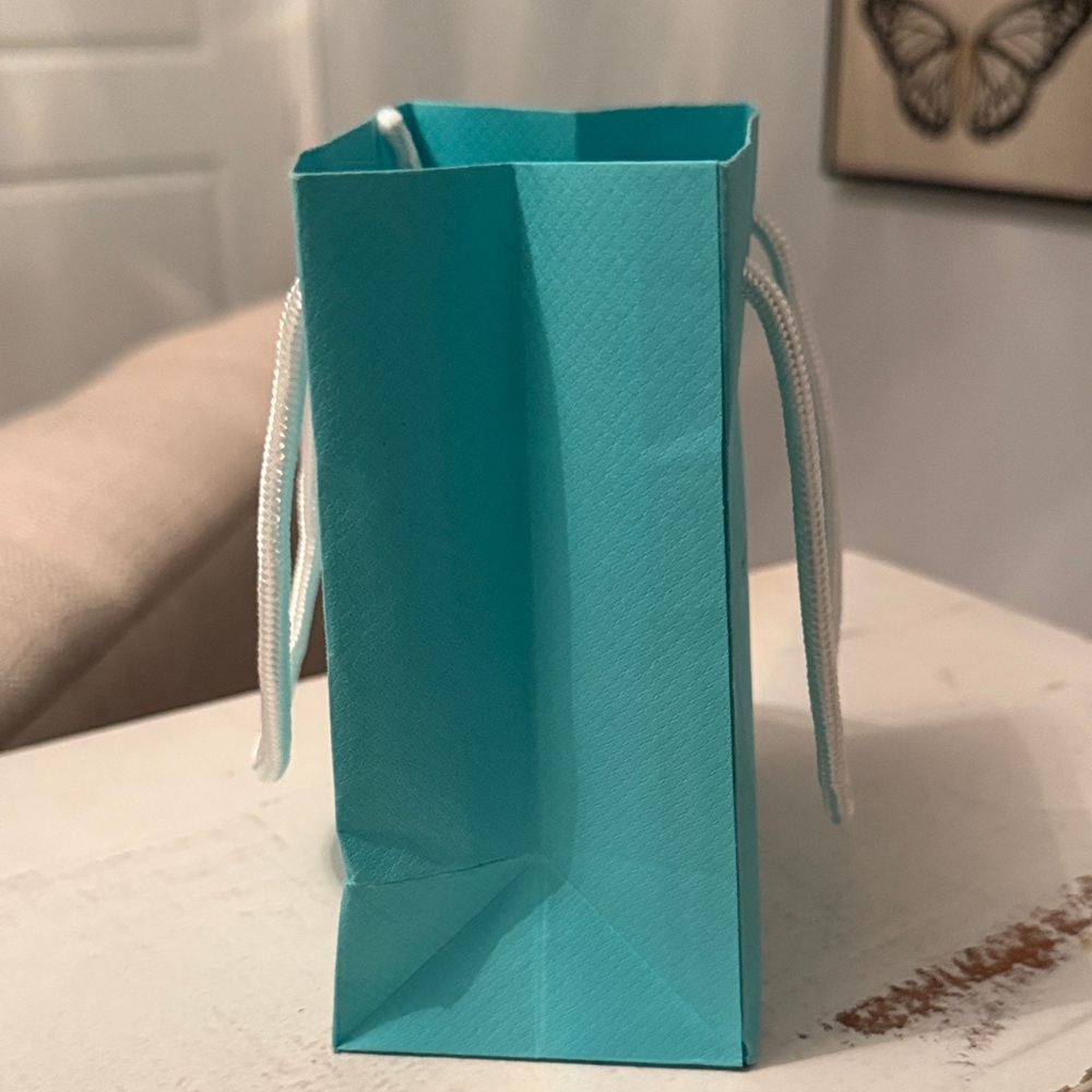 Tiffany & Co. Turquoise Shopping Bag only - Picture 4 of 6